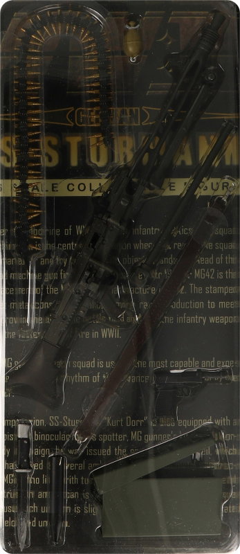 WWII German SS-Sturmann - Kurt Dorr image 5