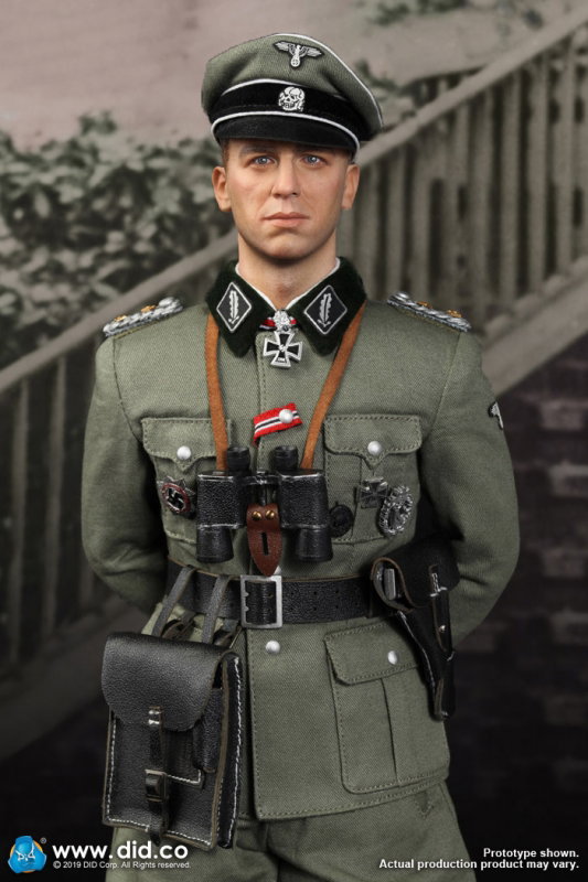 SS Obersturmbannführer - Kurt Meyer image 9
