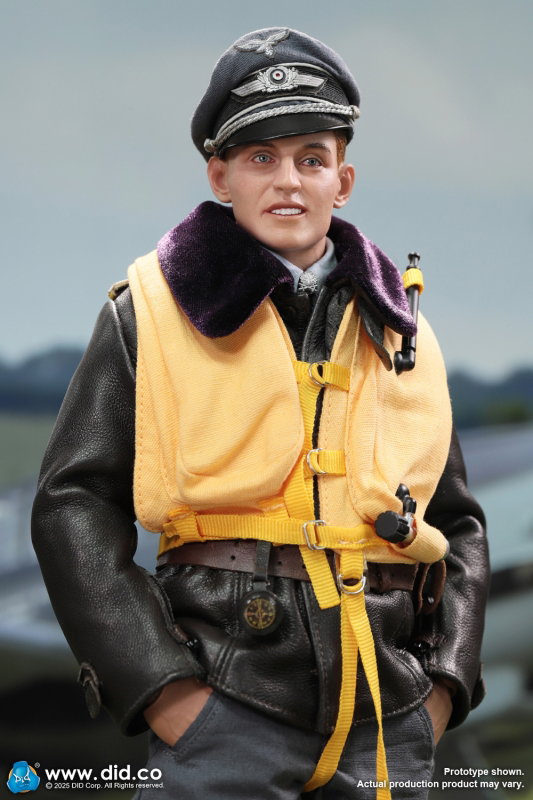 WWII German Luftwaffe Ace Pilot - Erich Hartmann image 6