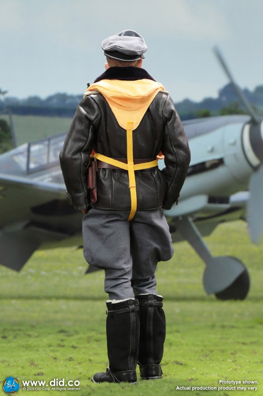 WWII German Luftwaffe Ace Pilot - Erich Hartmann image 8