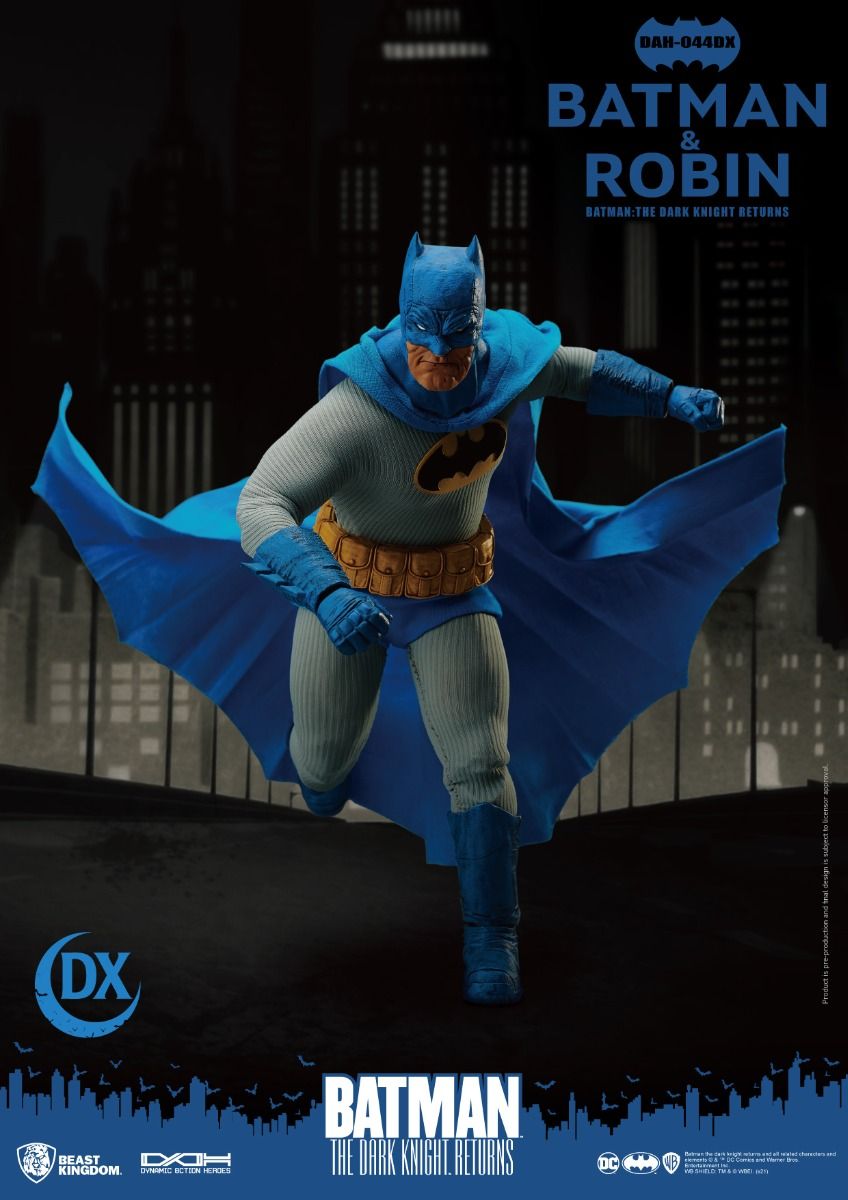 The Dark Knight Returns Batman & Robin image 7