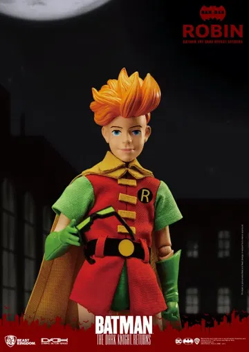 The Dark Knight Returns Robin