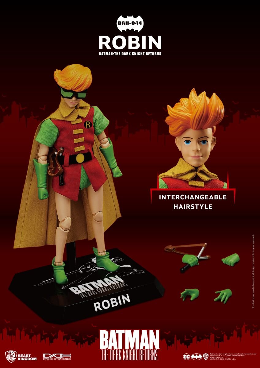 The Dark Knight Returns Robin image 2