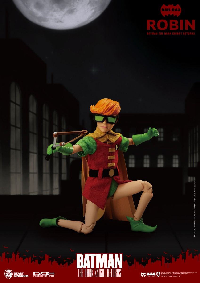 The Dark Knight Returns Robin image 3