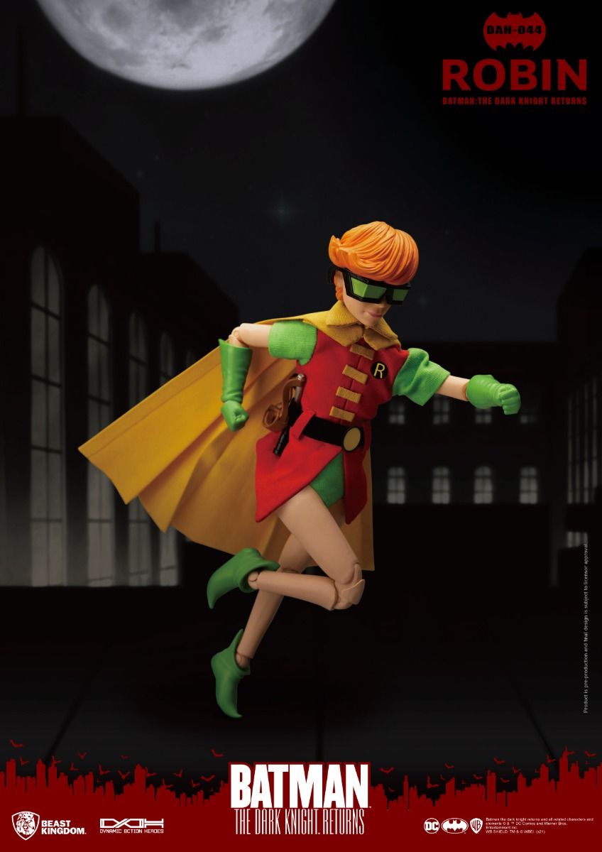 The Dark Knight Returns Robin image 4