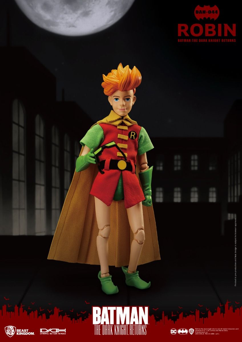 The Dark Knight Returns Robin image 5