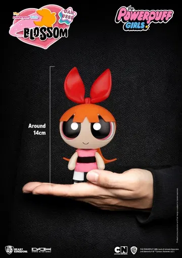 The Powerpuff girls Blossom