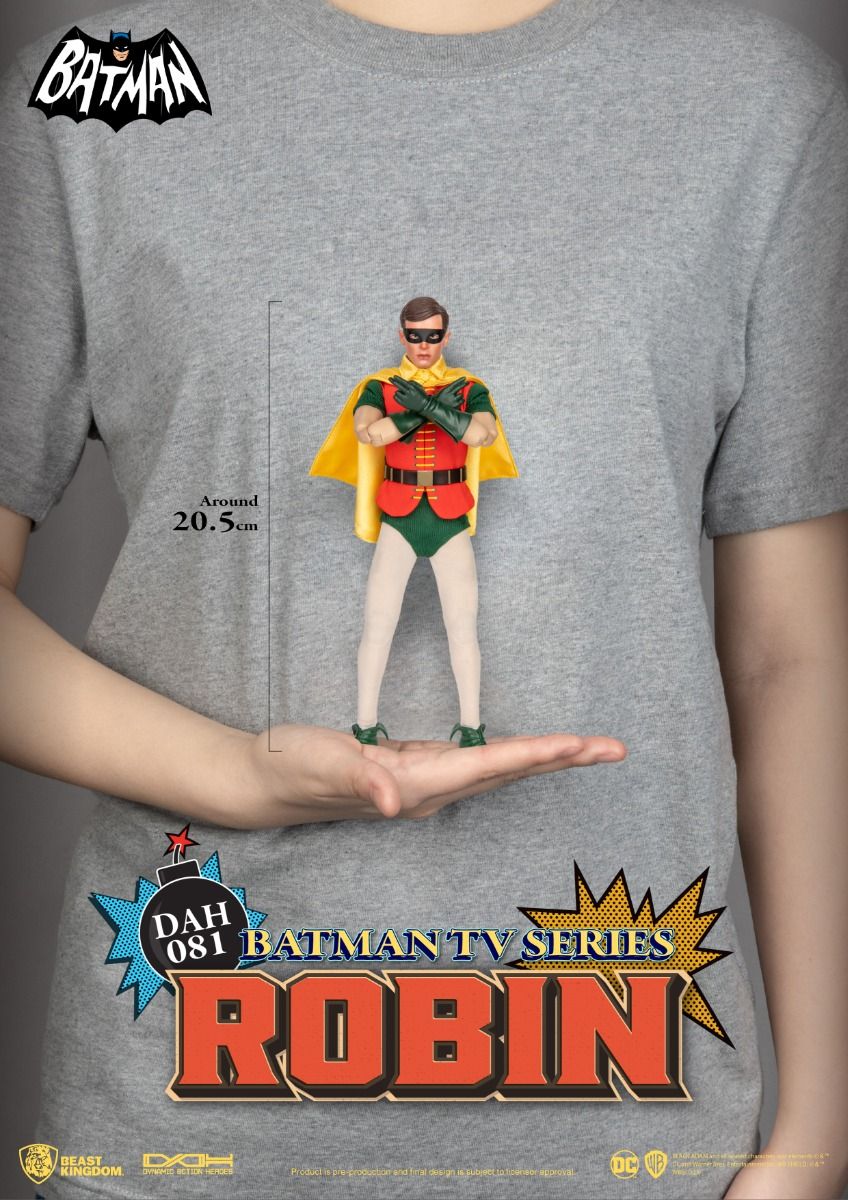 Batman TV Series Robin image 8