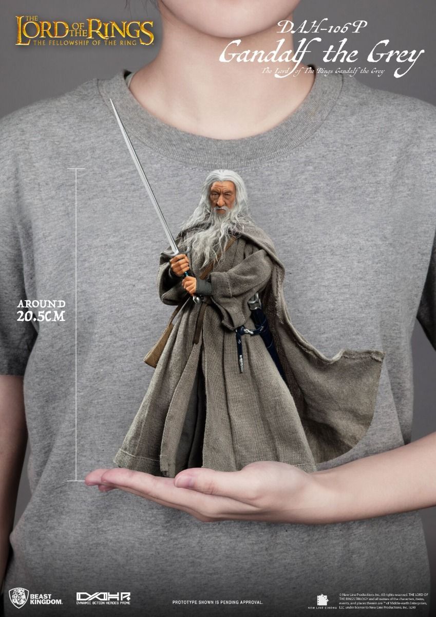 The Lord of The Rings Gandalf the Grey image 8