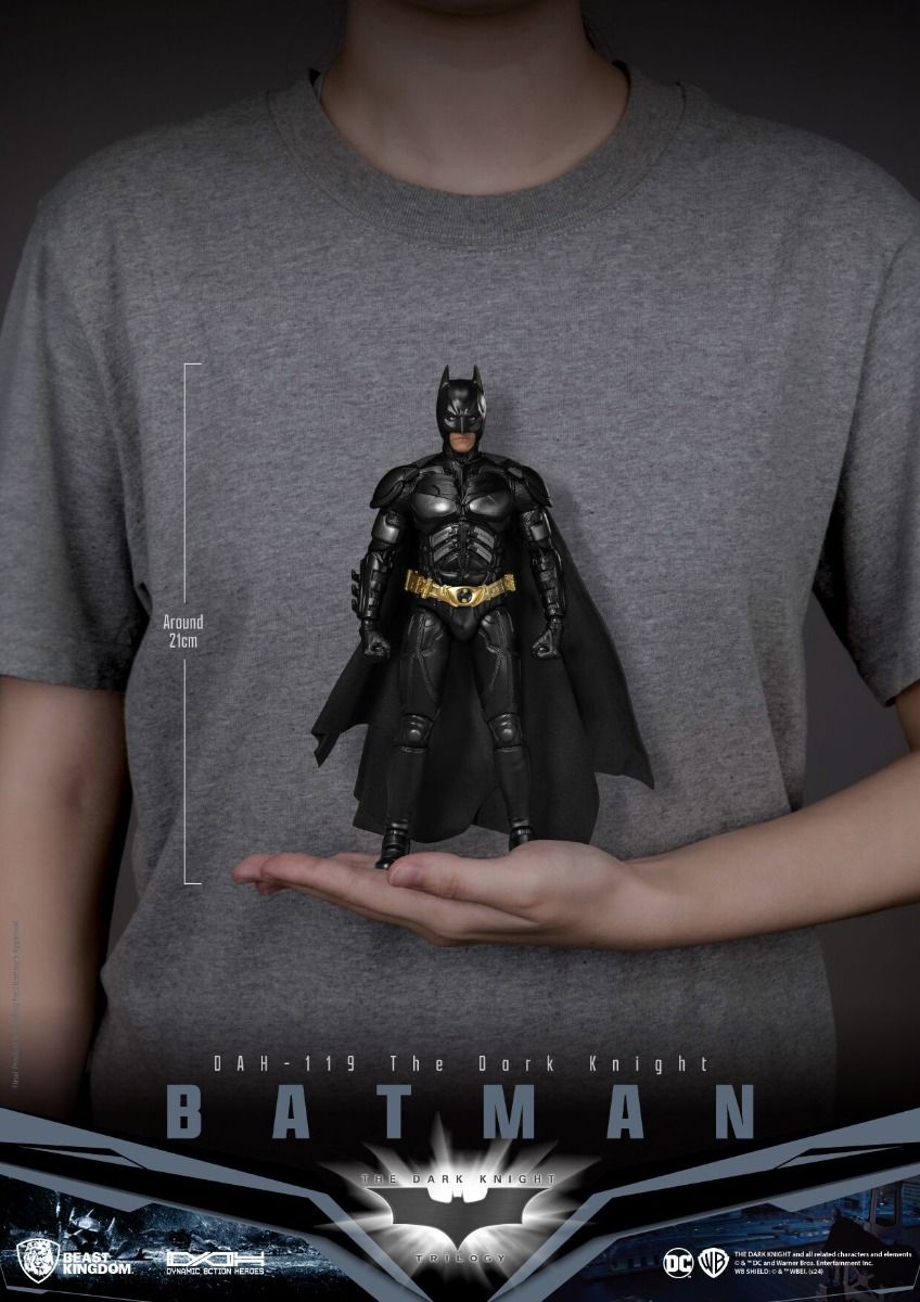 Batman (The Dark Knight) image 8