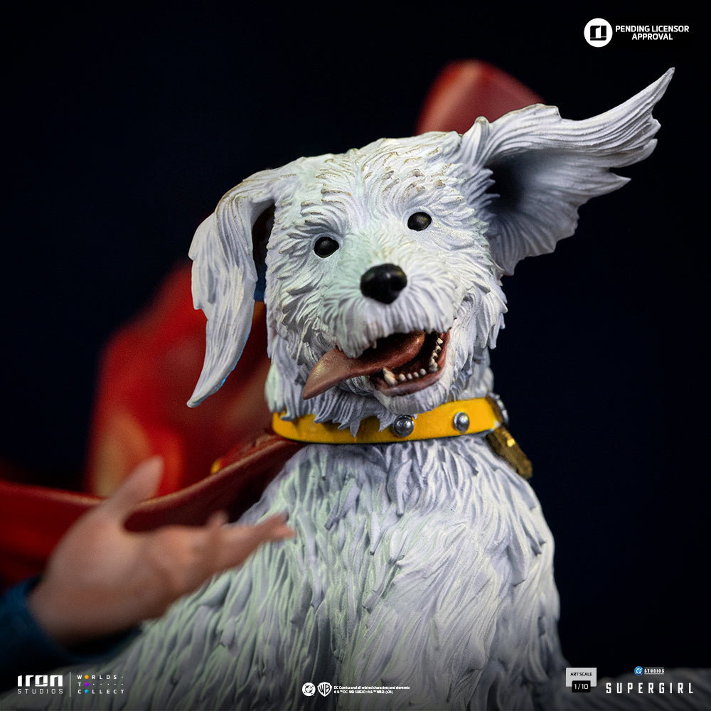 Supergirl & Krypto - Supergirl Movie image 6