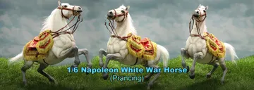 Napoleon White War Horse (Prancing)