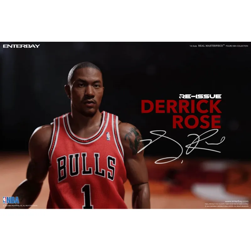 Derrick Rose Chicago Bulls image 2