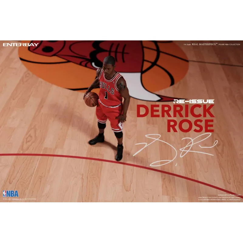 Derrick Rose Chicago Bulls image 5