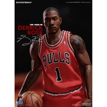 Derrick Rose Chicago Bulls