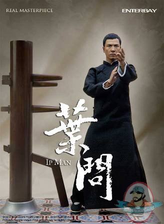 IP MAN image 2