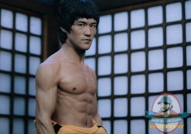 Bruce Lee (Behind the Scene Edition) image 6