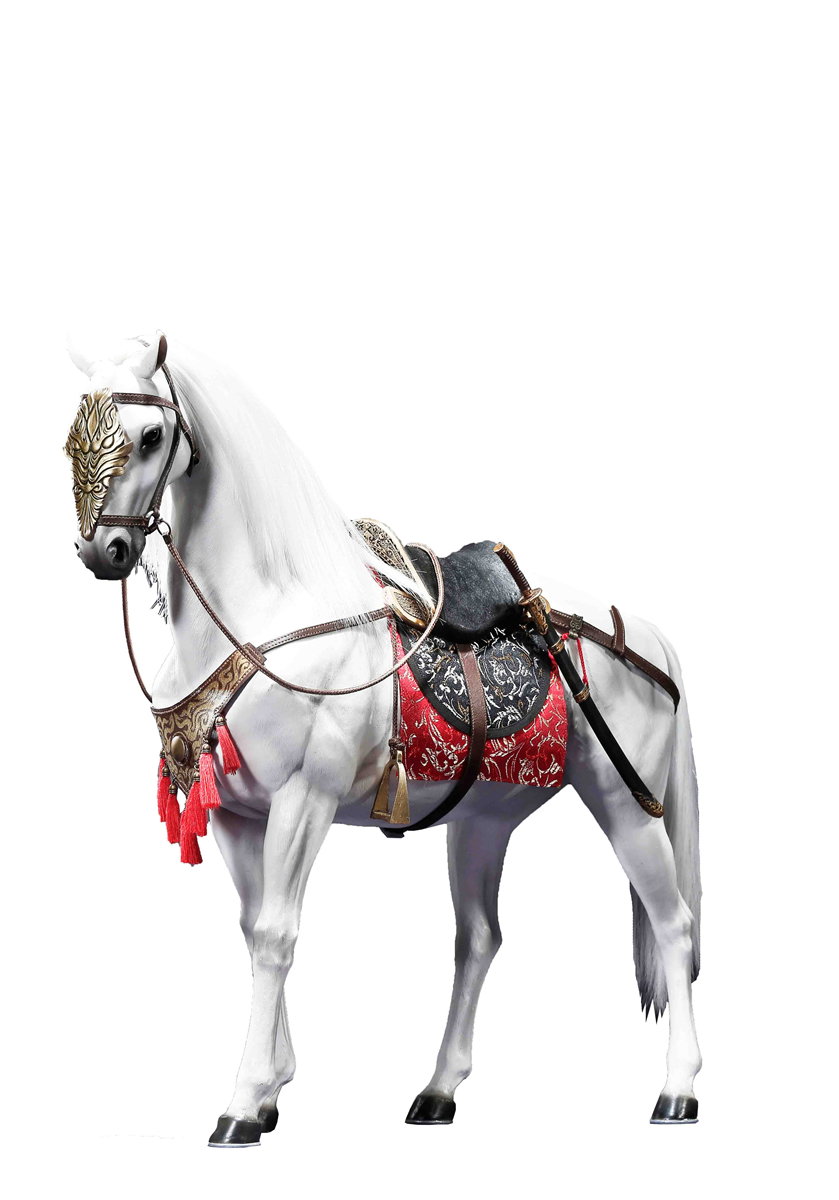 B Heroine Mrs. Qi-Battle Steed image 6