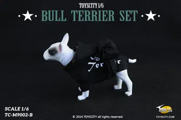 Bull Terrier dog (Type B)