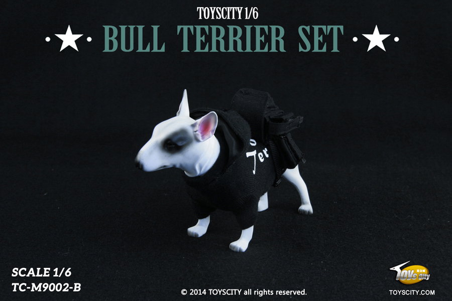 Bull Terrier dog (Type B) image 2