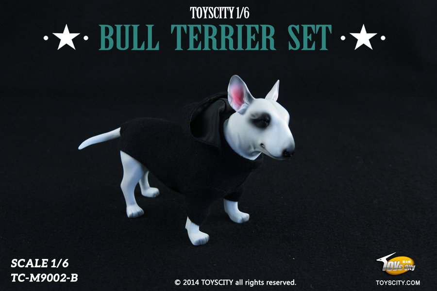 Bull Terrier dog (Type B) image 3