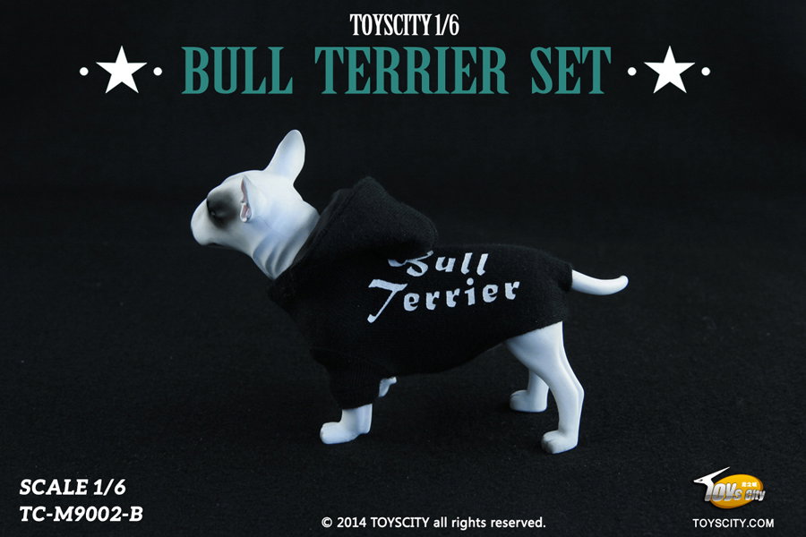 Bull Terrier dog (Type B) image 4