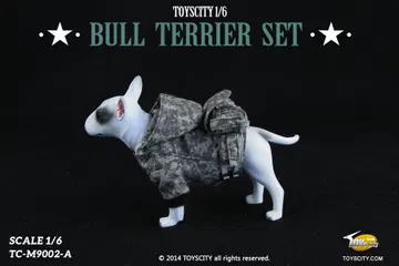 Bull Terrier dog (Type A)