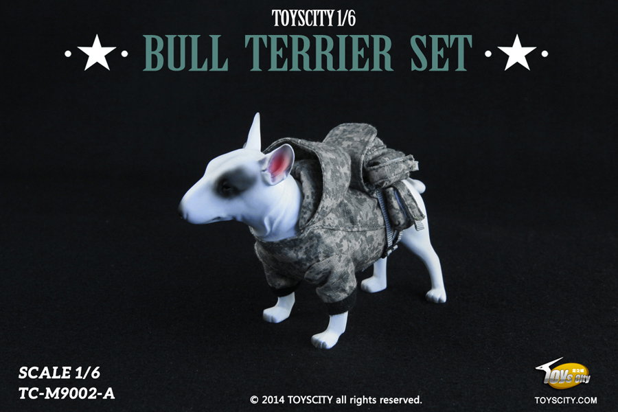 Bull Terrier dog (Type A) image 2