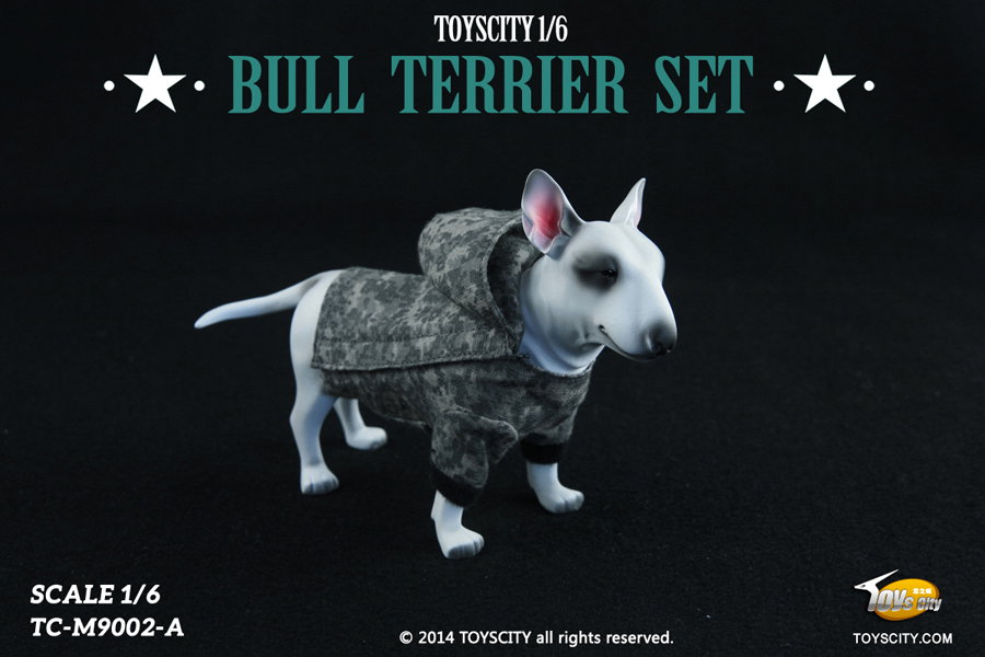 Bull Terrier dog (Type A) image 3