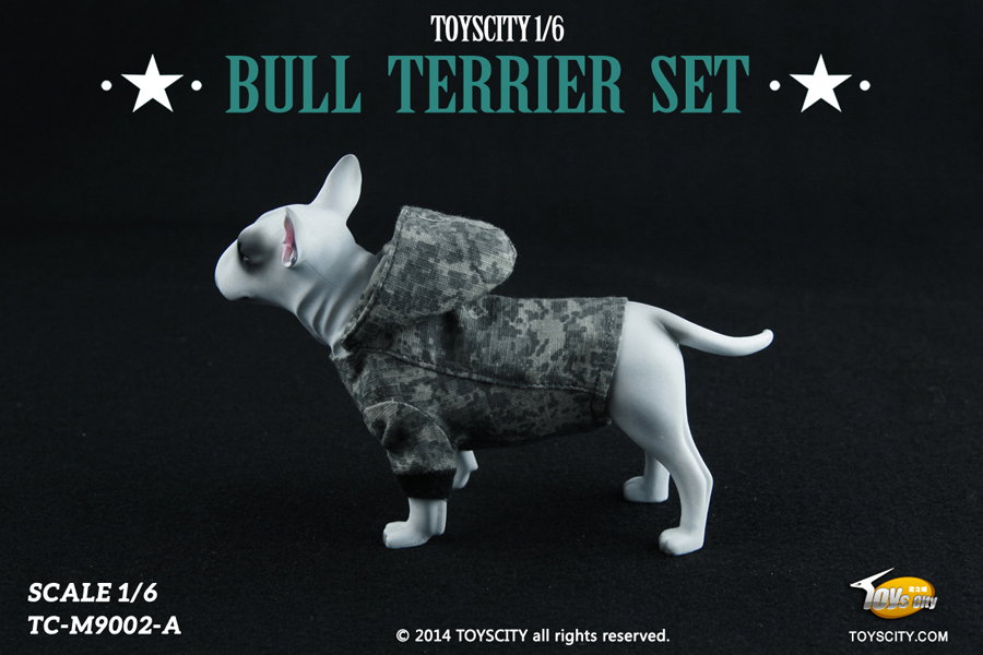 Bull Terrier dog (Type A) image 4