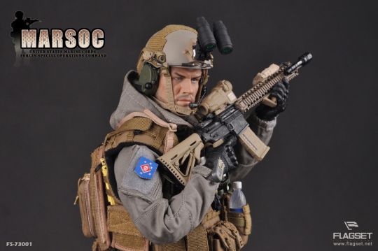 United States Marine Corps Forces Special Operations Command (MARSOC) image 8