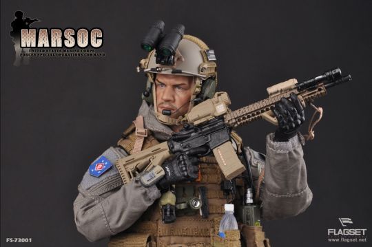 United States Marine Corps Forces Special Operations Command (MARSOC) image 9