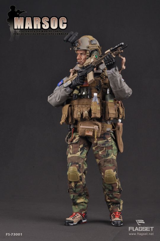 United States Marine Corps Forces Special Operations Command (MARSOC) image 10