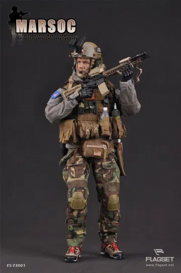 United States Marine Corps Forces Special Operations Command (MARSOC)