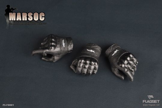 United States Marine Corps Forces Special Operations Command (MARSOC) image 3