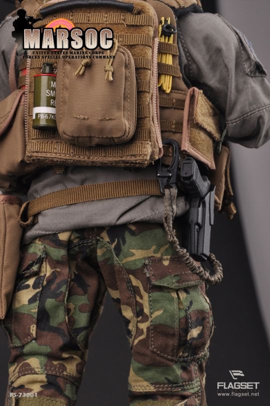 United States Marine Corps Forces Special Operations Command (MARSOC) image 4