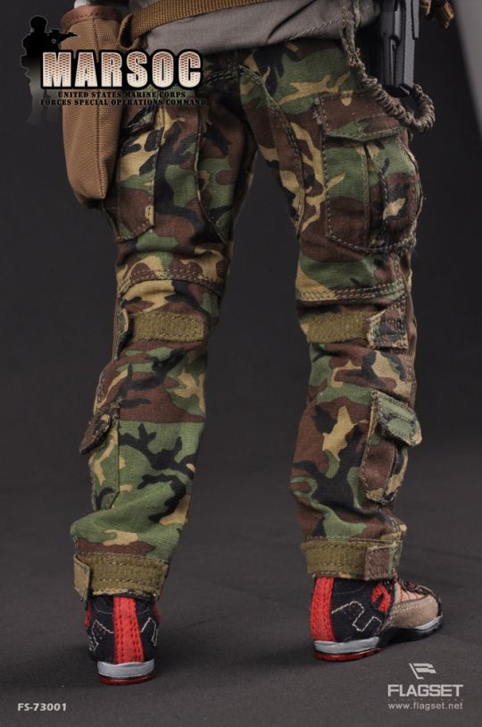 United States Marine Corps Forces Special Operations Command (MARSOC) image 5