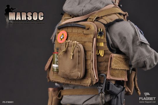 United States Marine Corps Forces Special Operations Command (MARSOC) image 6