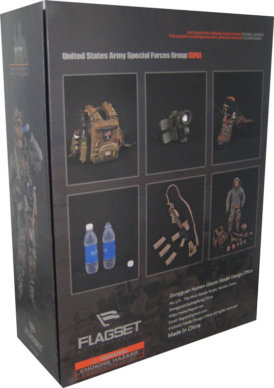 United States Army Special Forces Group image 2