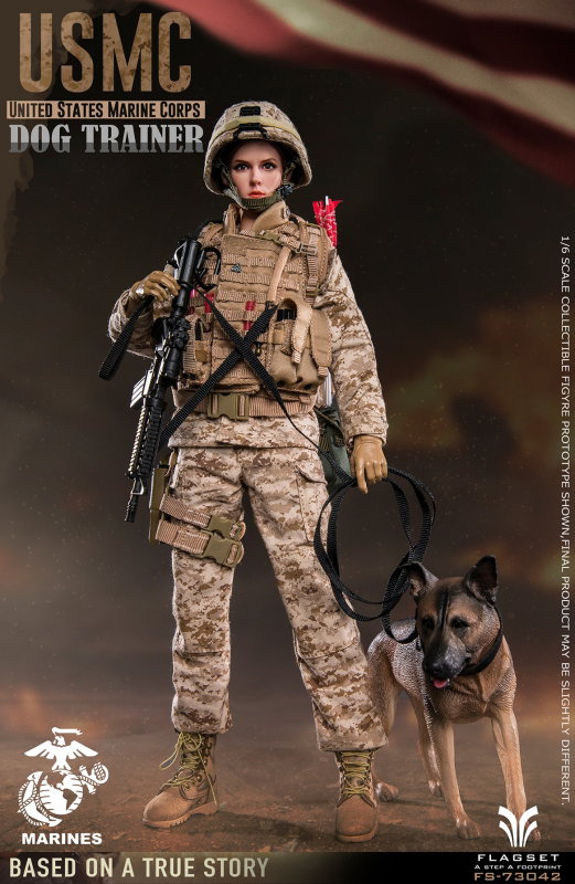 USMC United States Marine Corps - Dog Trainer image 3