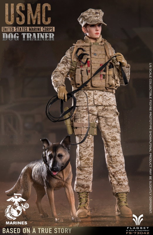 USMC United States Marine Corps - Dog Trainer image 4