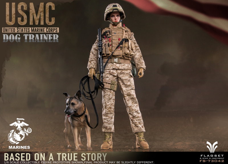 USMC United States Marine Corps - Dog Trainer image 6