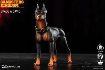 Spade A - Dobermann