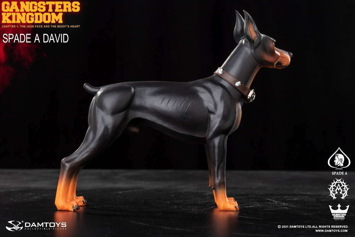 Spade A - Dobermann image 2