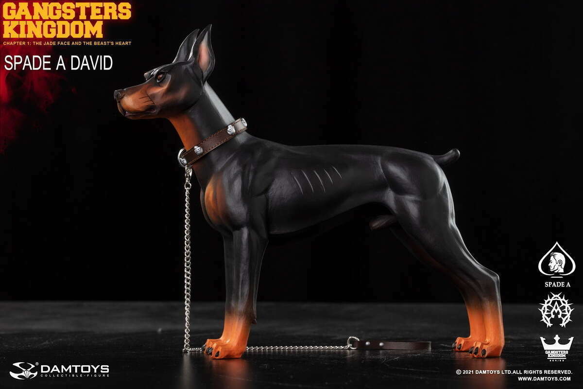 Spade A - Dobermann image 4