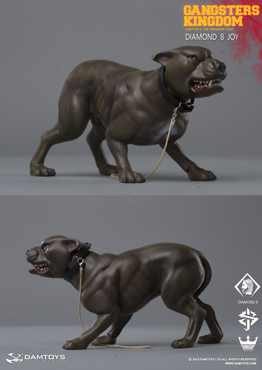 Diamond VIII - Dog image 2
