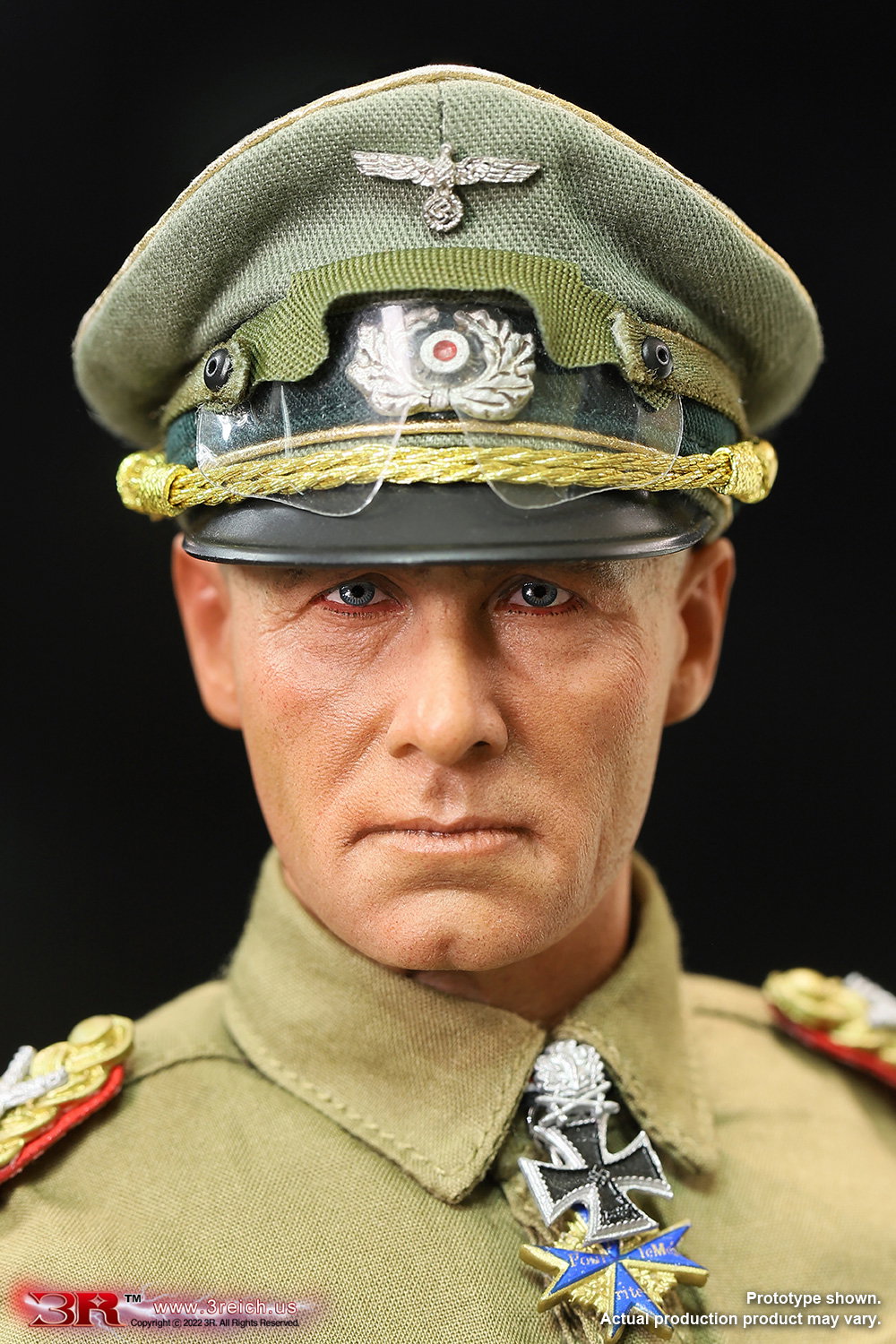 Erwin Rommel-Desert Fox image 4