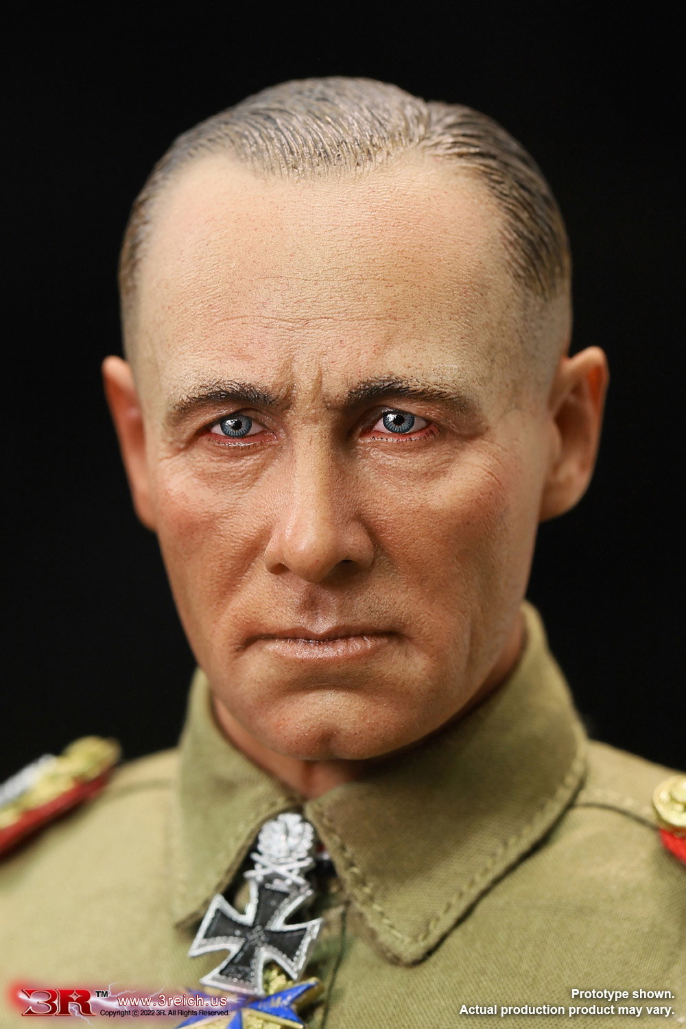 Erwin Rommel-Desert Fox image 8