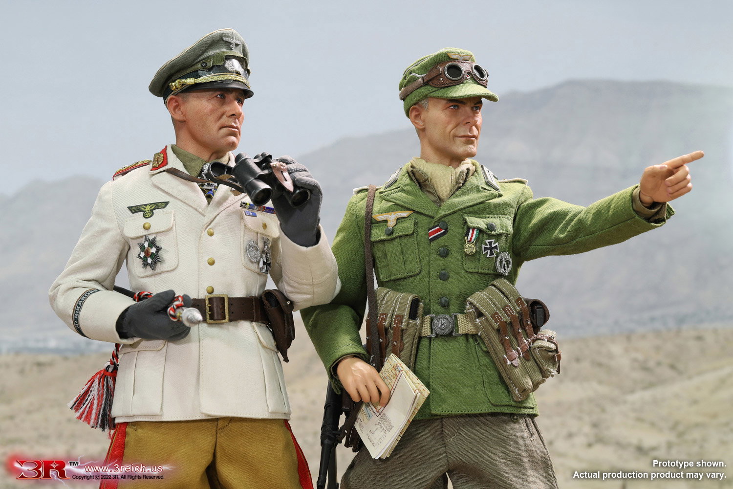 Erwin Rommel-Desert Fox image 9