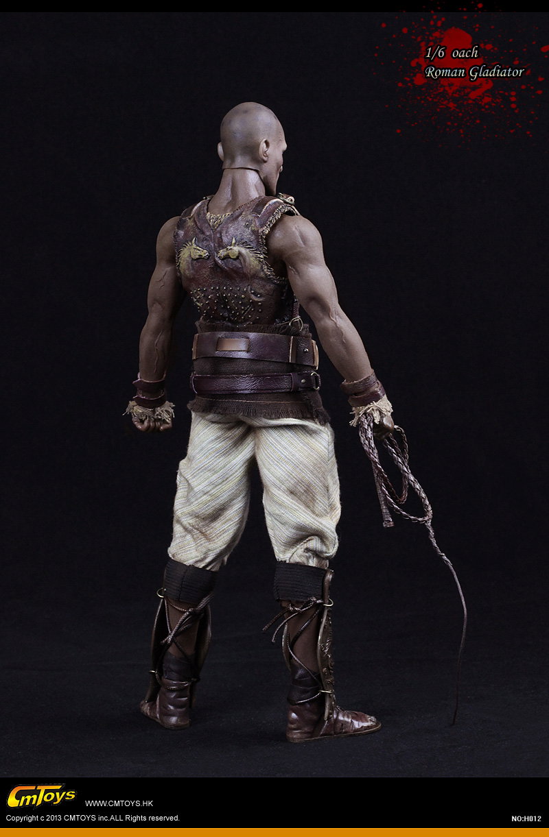 Roman Gladiator Coach image 4
